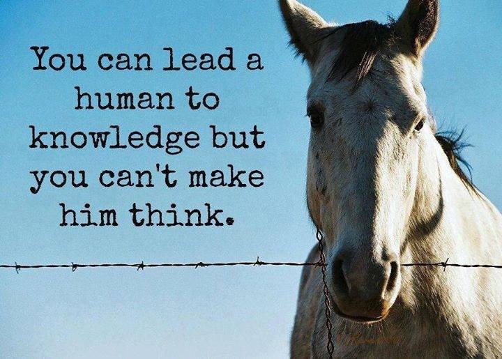 you can lead a human to knowledge...